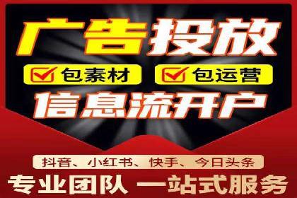 SEM托管服务案例：优化策略与效果展示